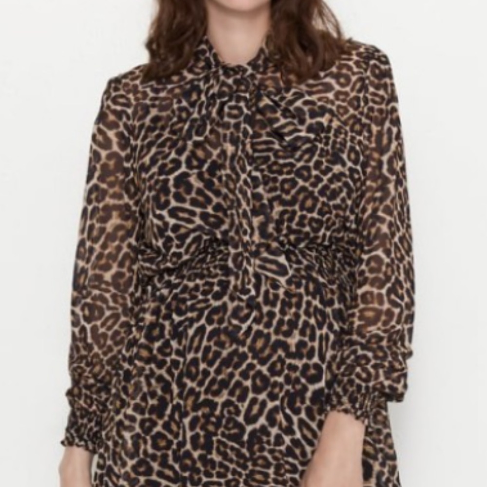 Zara Leopard Tie Neck Blouse Leopard Maxi Dress Medium